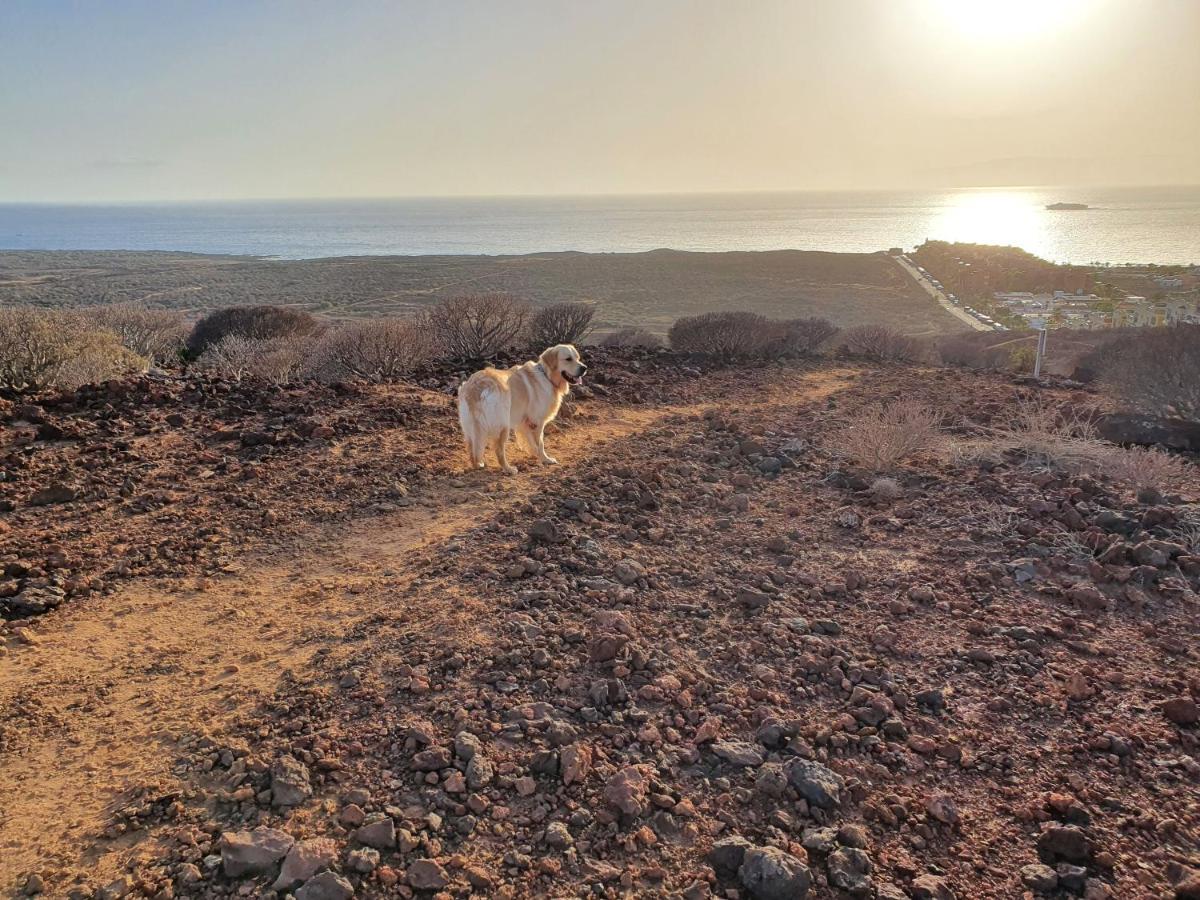 Maravilloso Y Tranquilo Alojamiento En El Palm-Mar Εξωτερικό φωτογραφία
